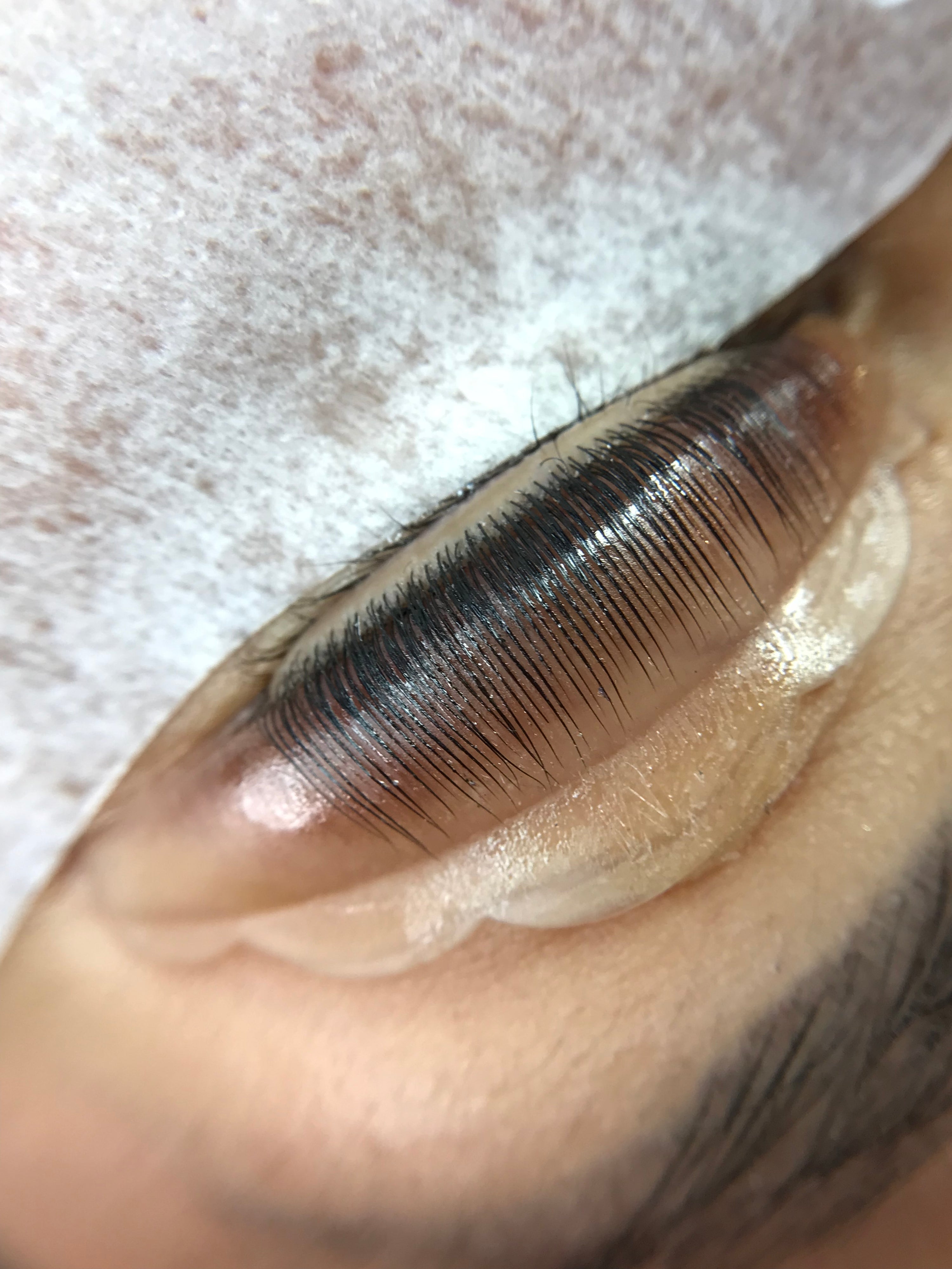 Lash lift shields in use