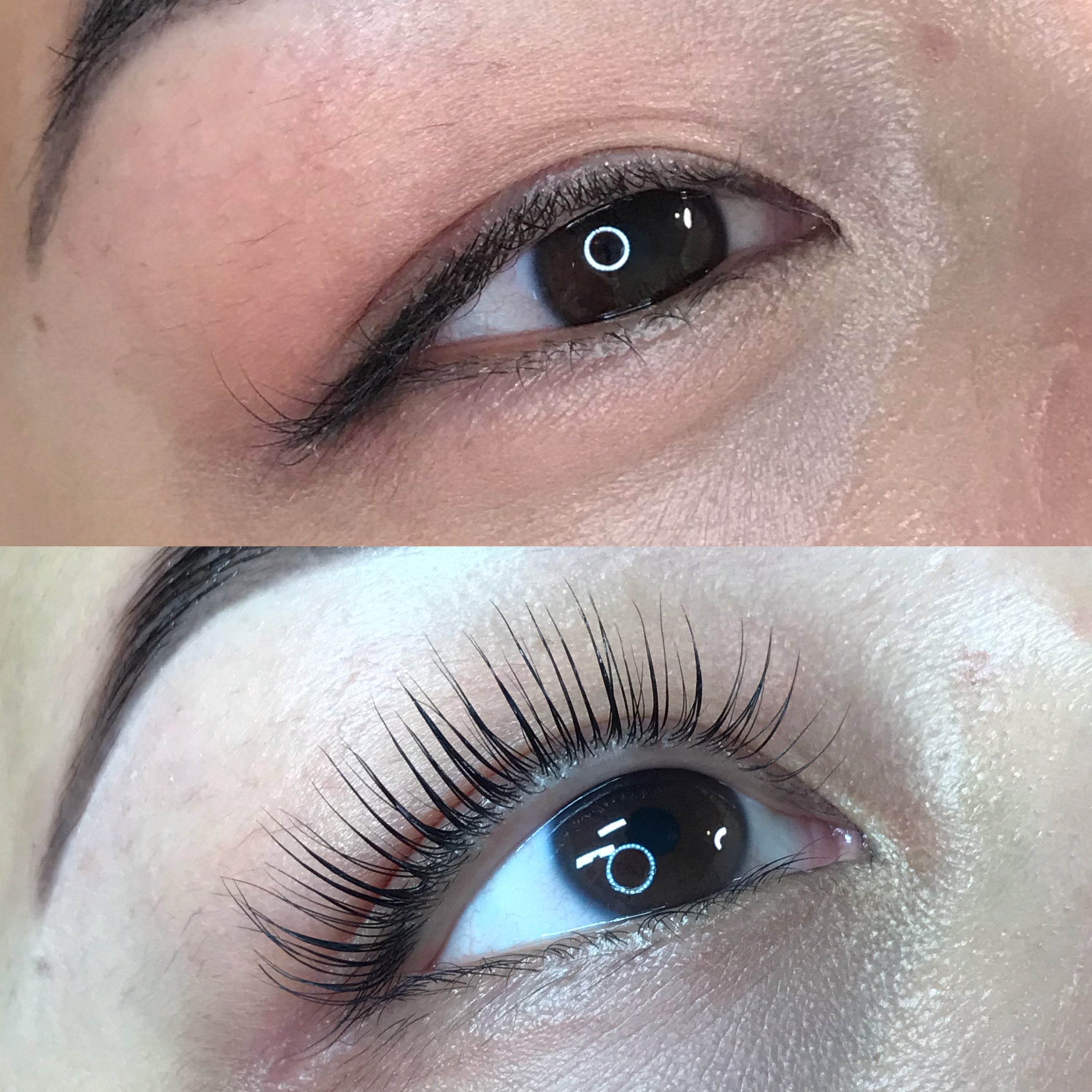 Wow Lash Lift Shields